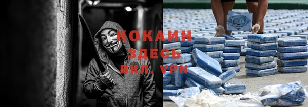 индика Балахна