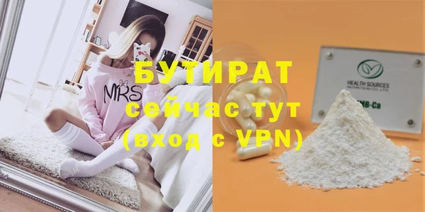 индика Балахна