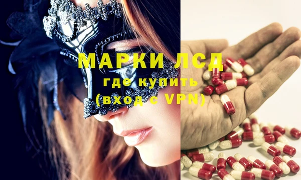 индика Балахна