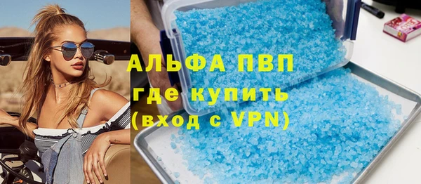 индика Балахна