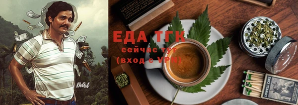 индика Балахна